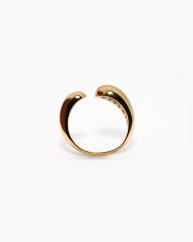 ANILLO DUNA