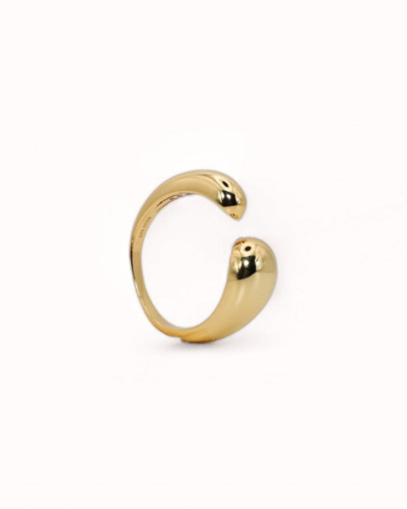 ANILLO DUNA