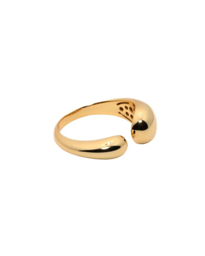 ANILLO DUNA