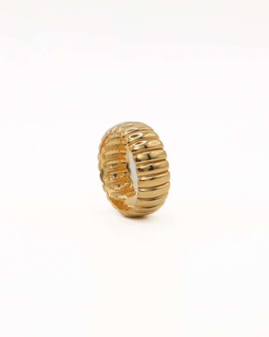 ANILLO RAILS