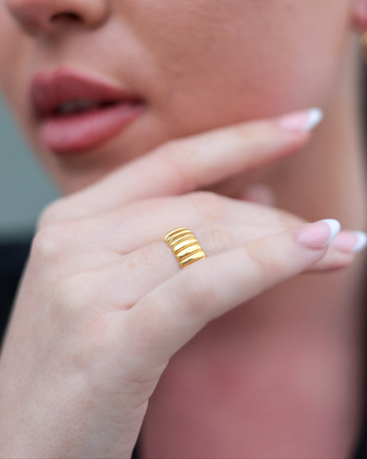 ANILLO RAILS