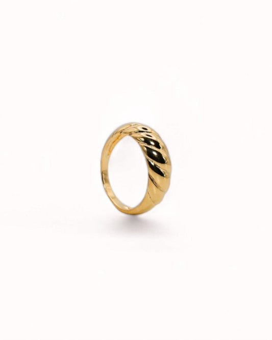 ANILLO RAVINE