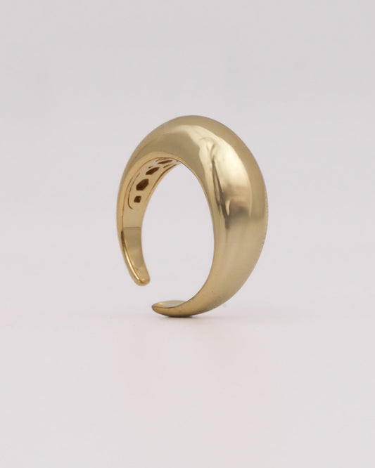 ANILLO TAELIA